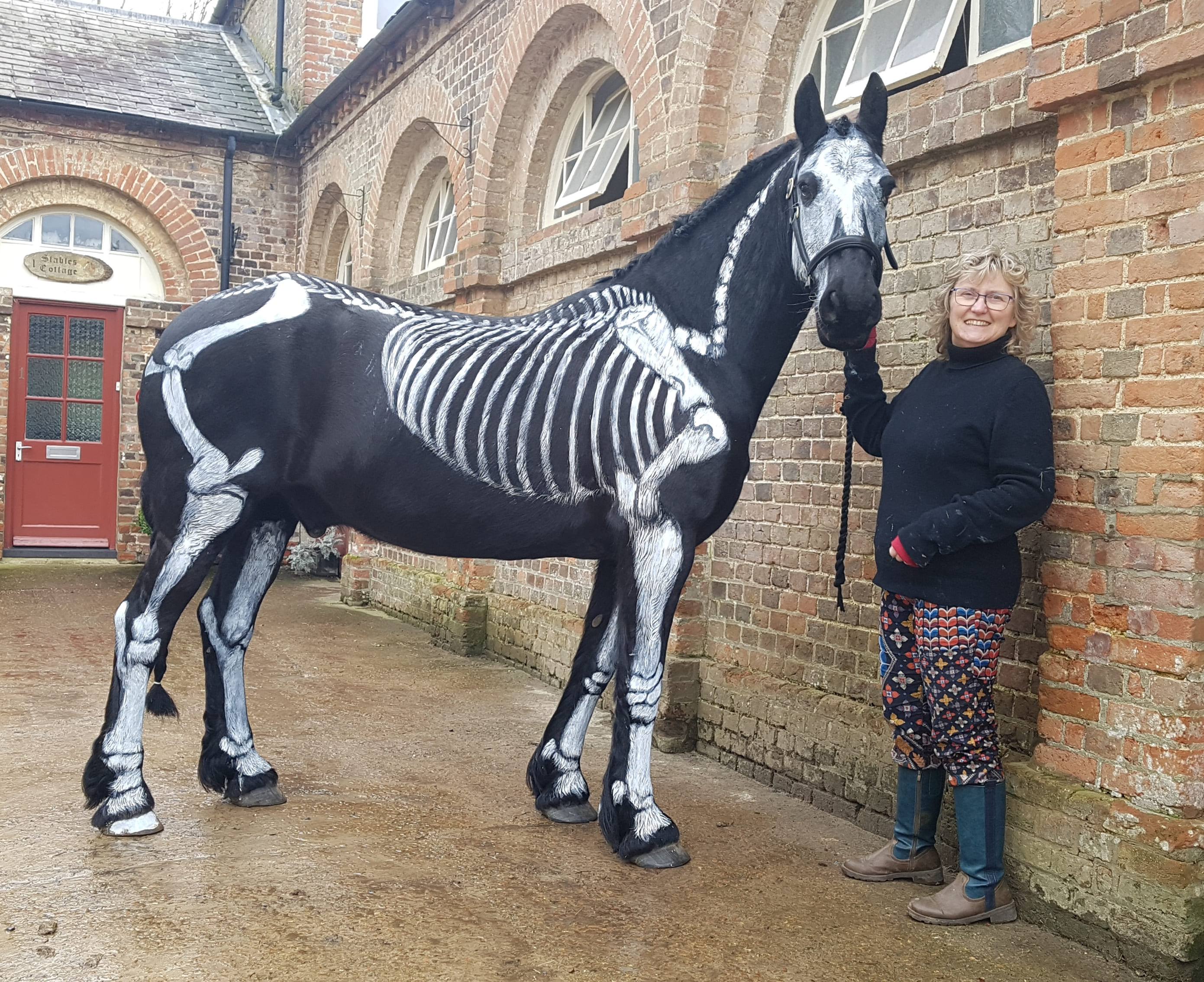 About us Façade Academy of Face Painting & Body Art